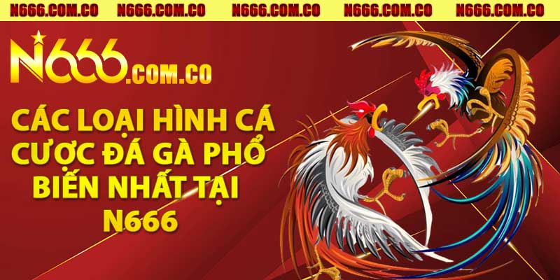 Các loại hình cá cược đá gà phổ biến nhất tại N666