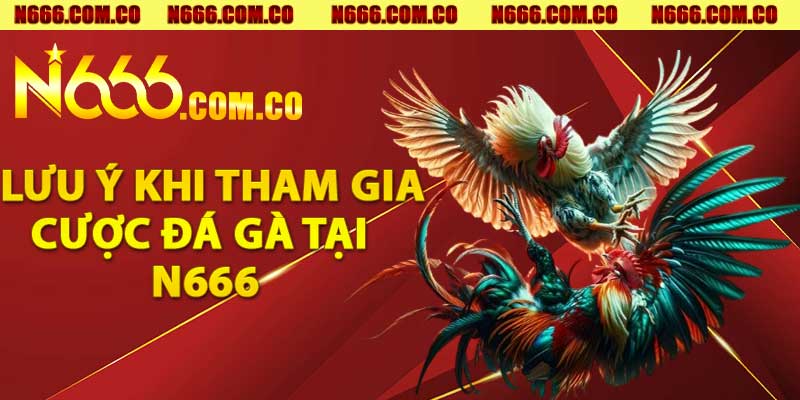 Lưu ý khi tham gia cược Đá Gà tại N666